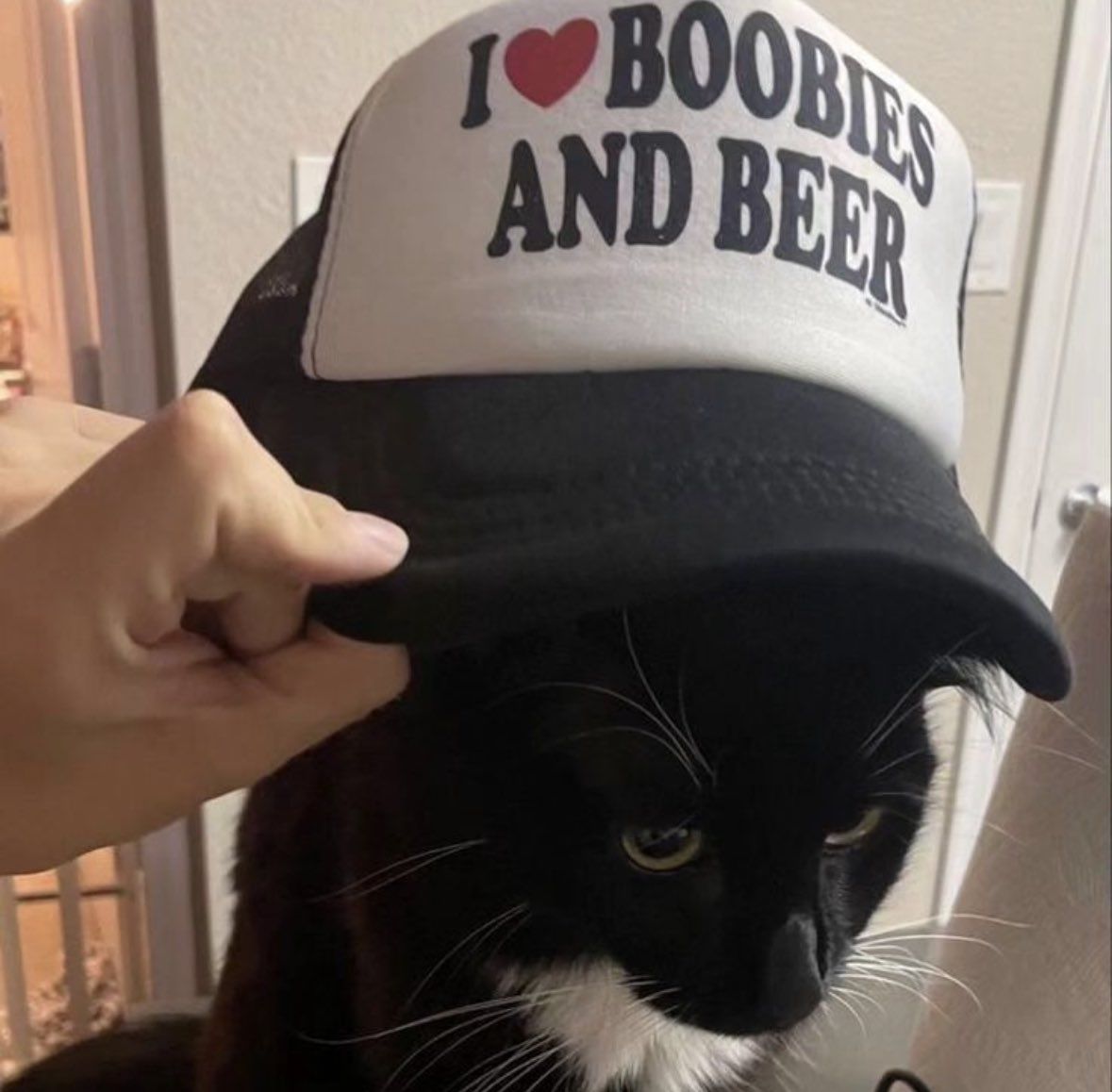 Gm hugecels