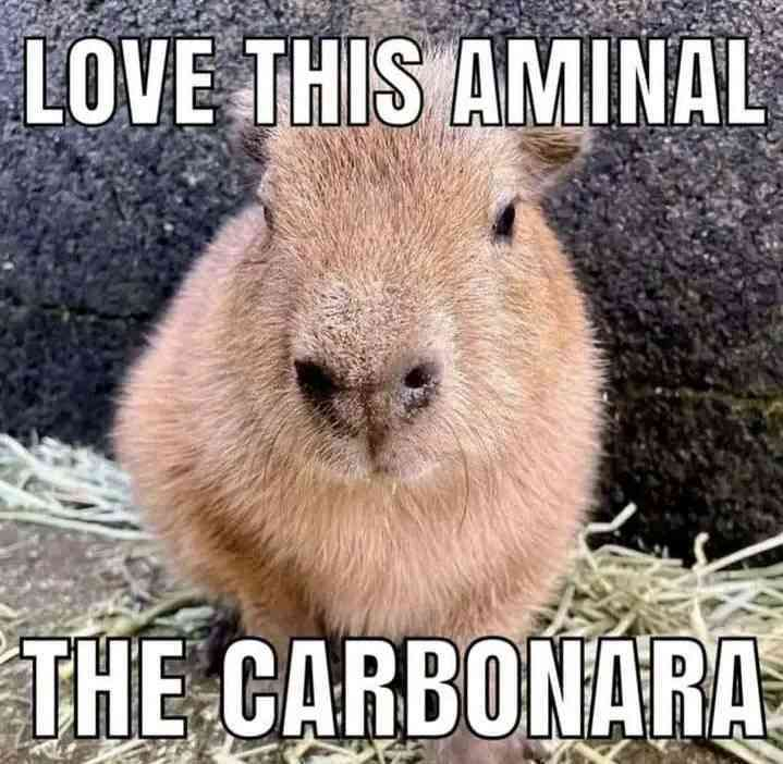 best animal