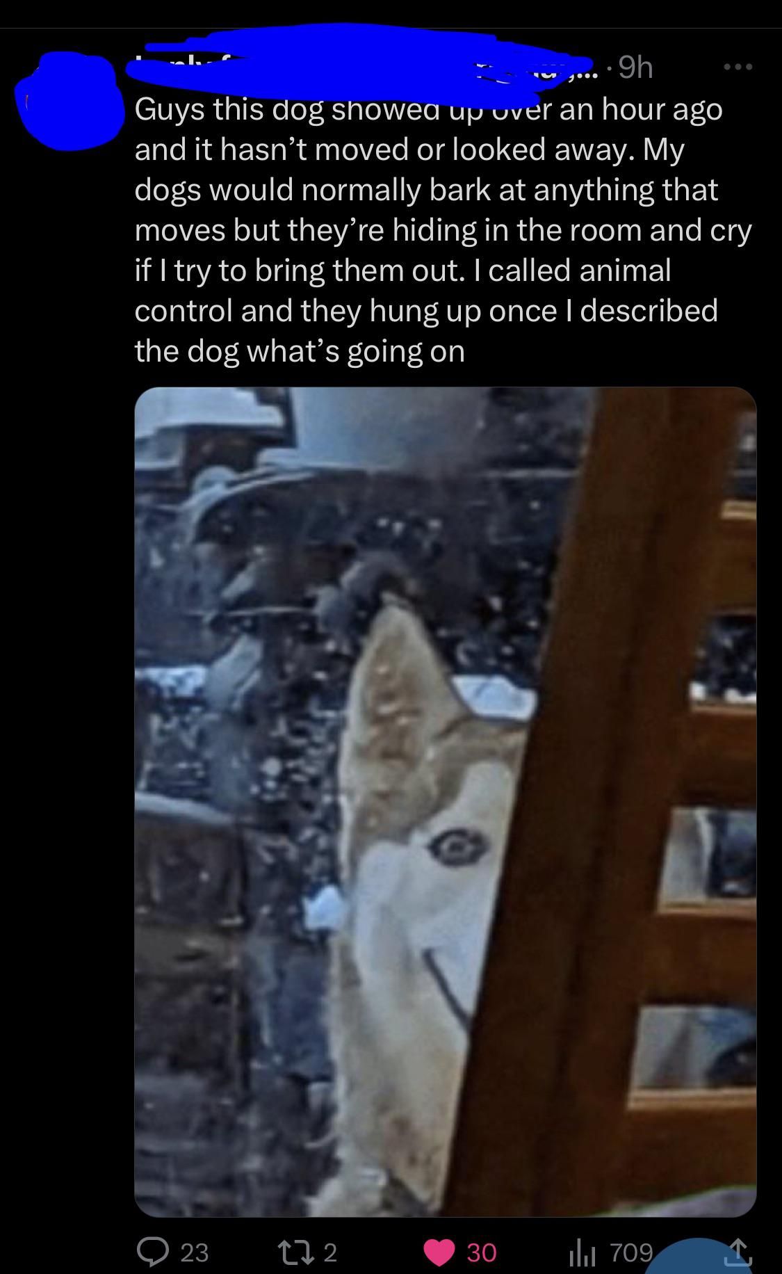skinwalker
