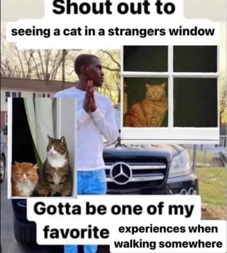 ***