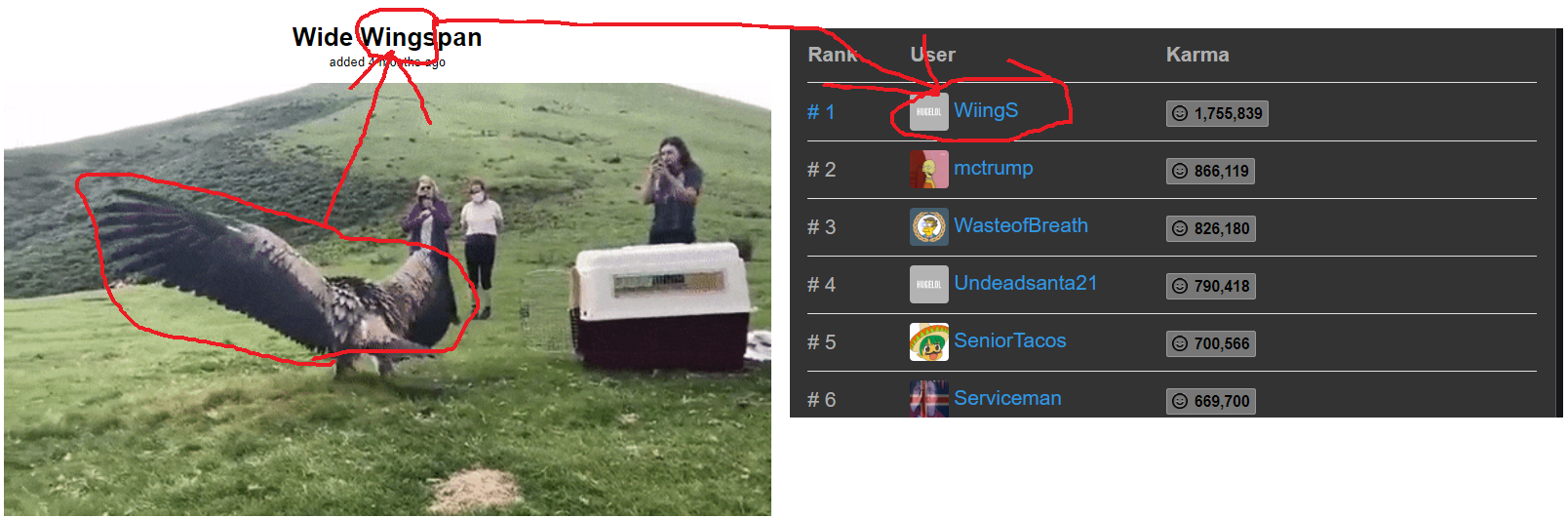 WiingS destroyed Hugegifs