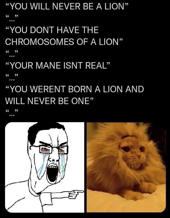 ***