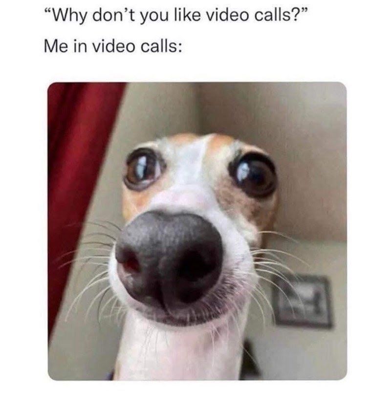 Waddup dawg