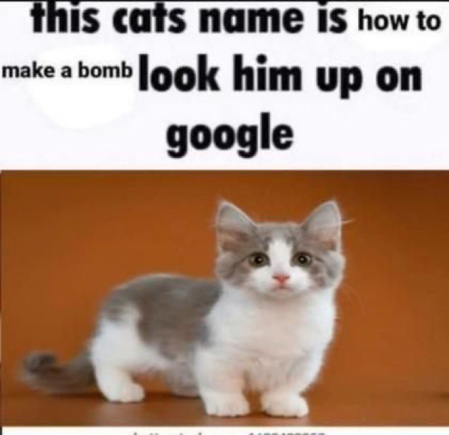 So cute