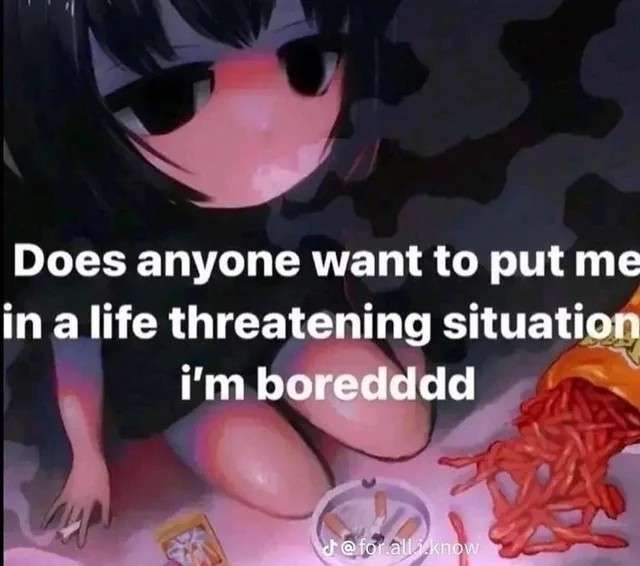 (￣︿￣)