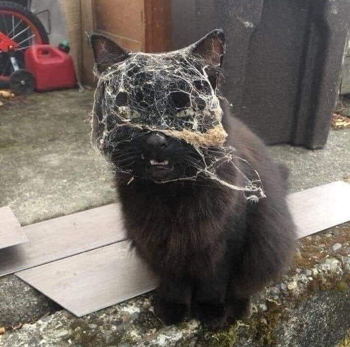 ***