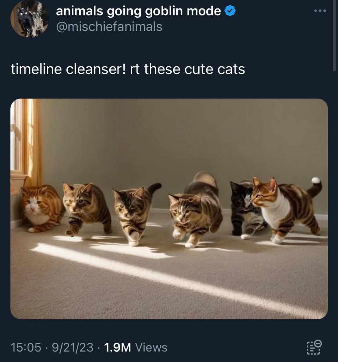 Awwww