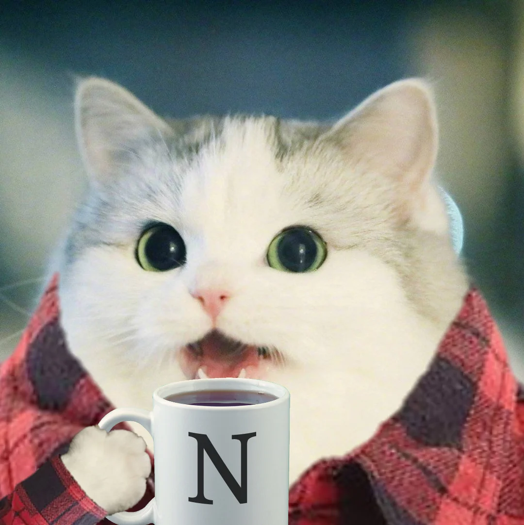 Good morning you glorious ***s