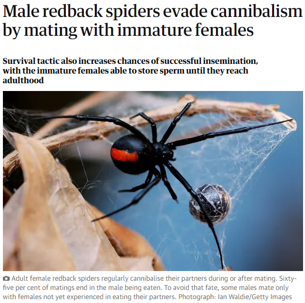 The spiders are just like me. (except i have 0 human contact)