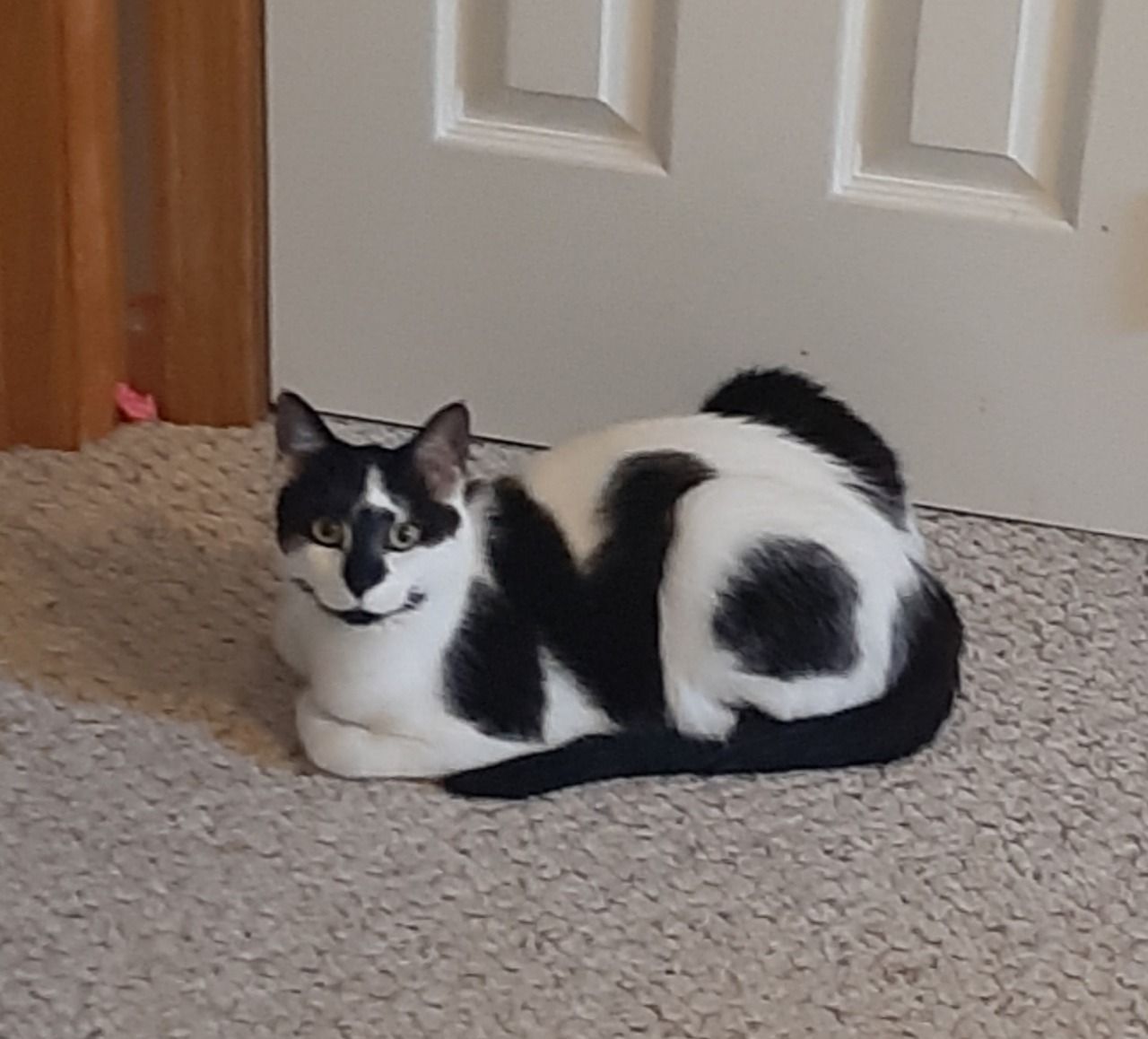 Dudders has come for a visit!
