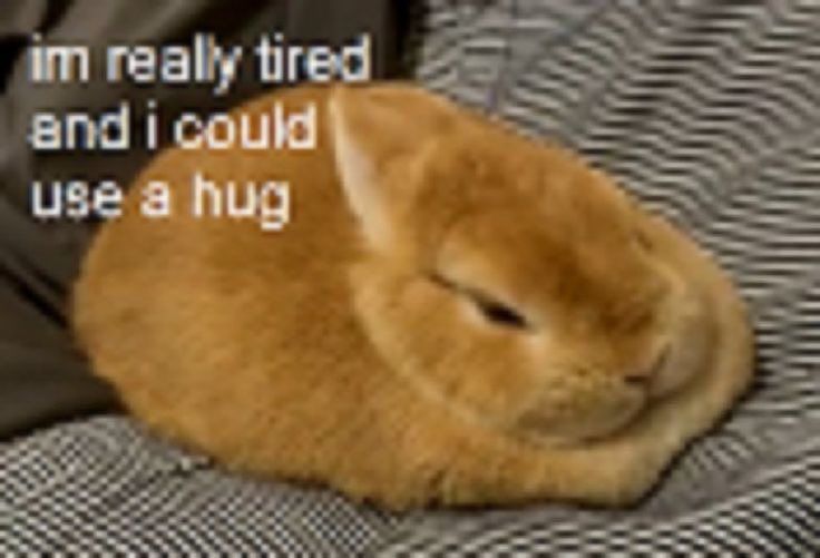 (づ◡﹏◡)づ