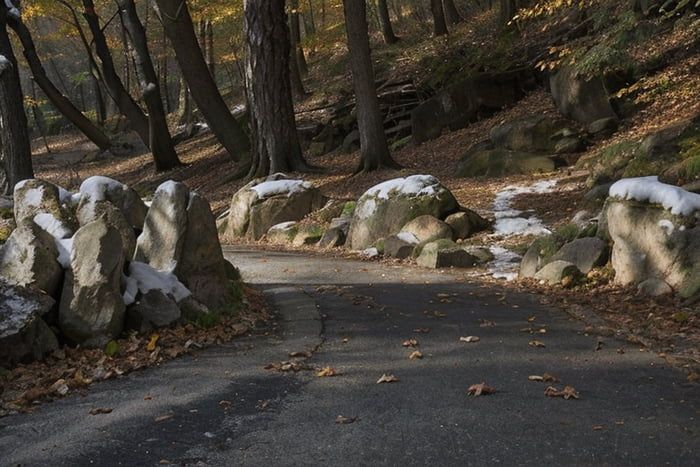 Nice road