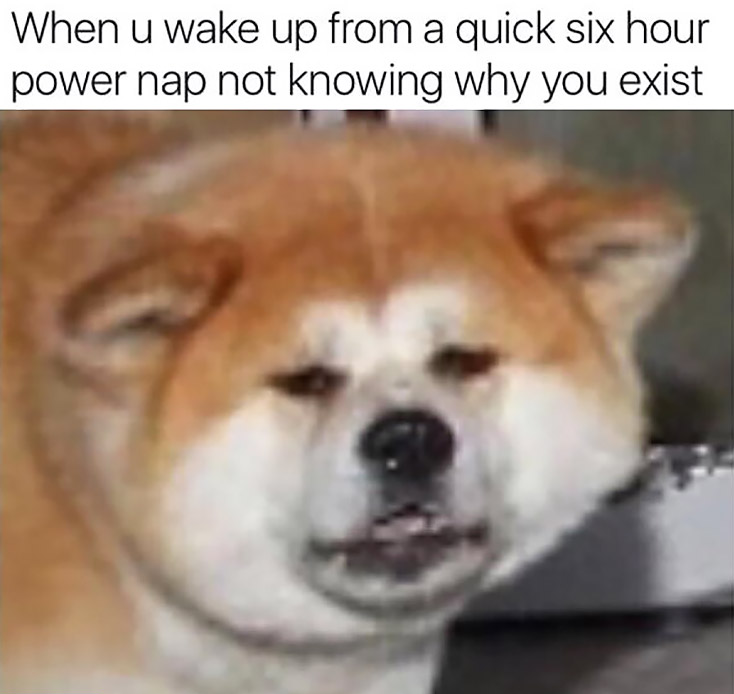 Where is my morning Marlboro bro