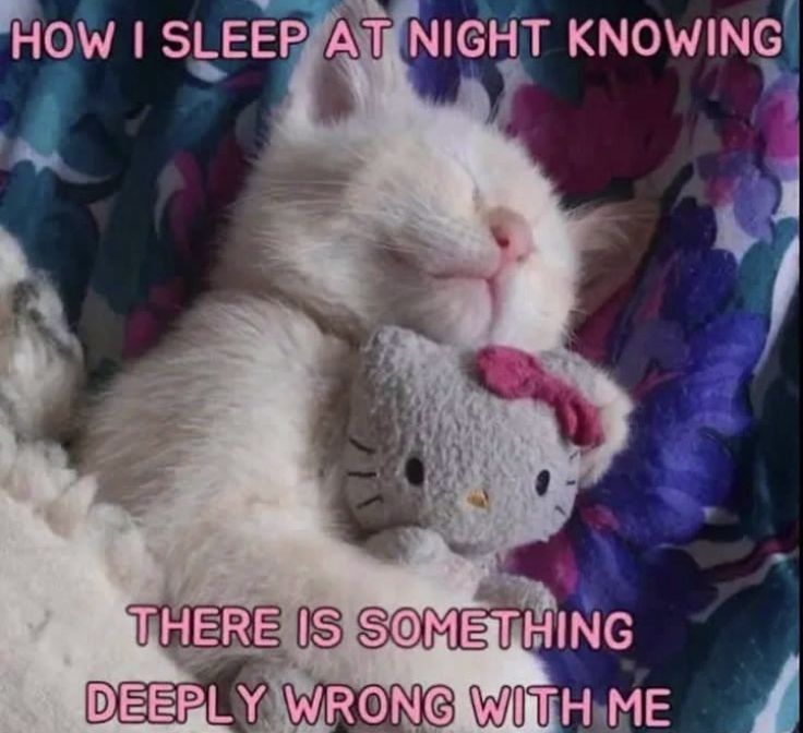 I love sleeping, I could sleep all day