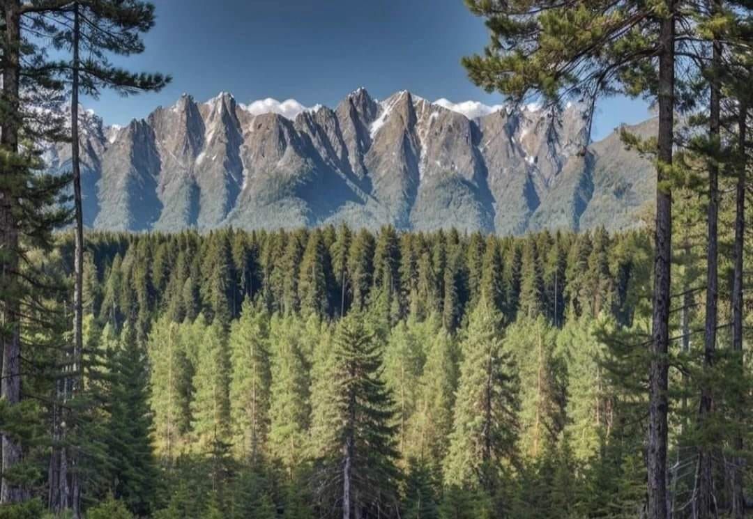 Great view in Colorado