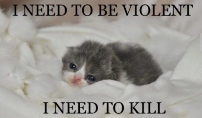 :3 