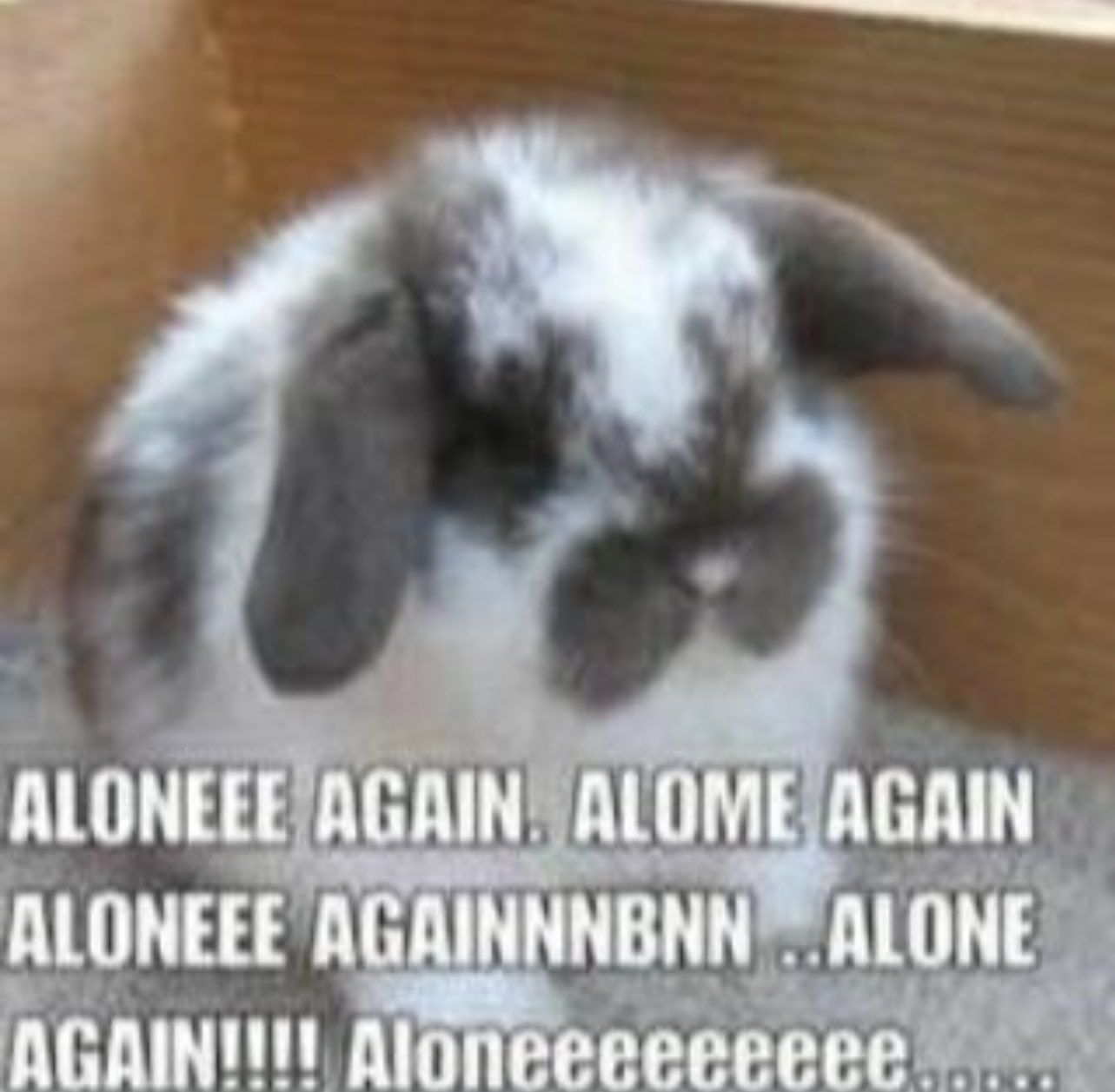 Aloneeeeee