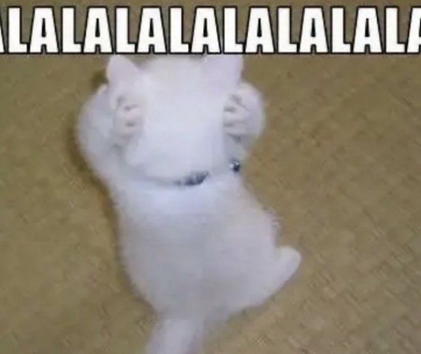 LALALALALALALALALALALALALALALALA