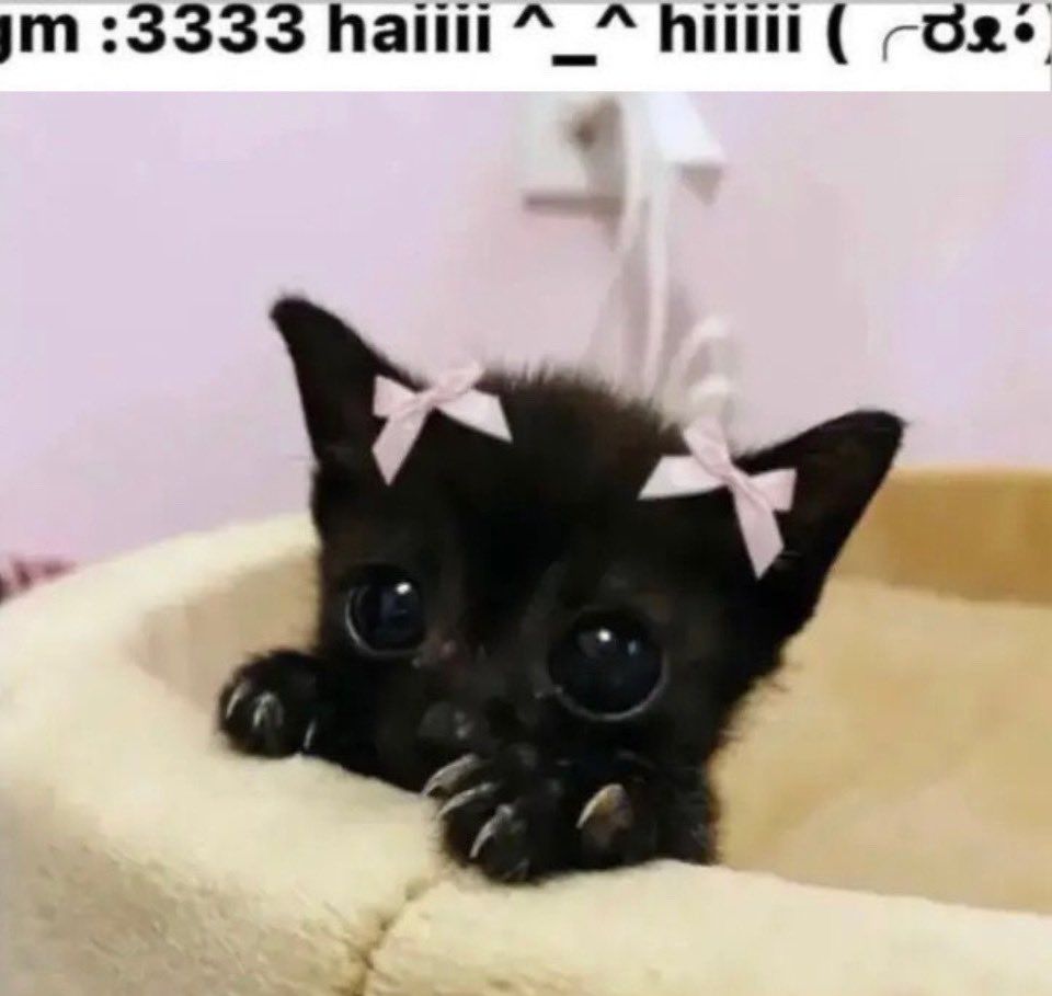 haiiii ^^