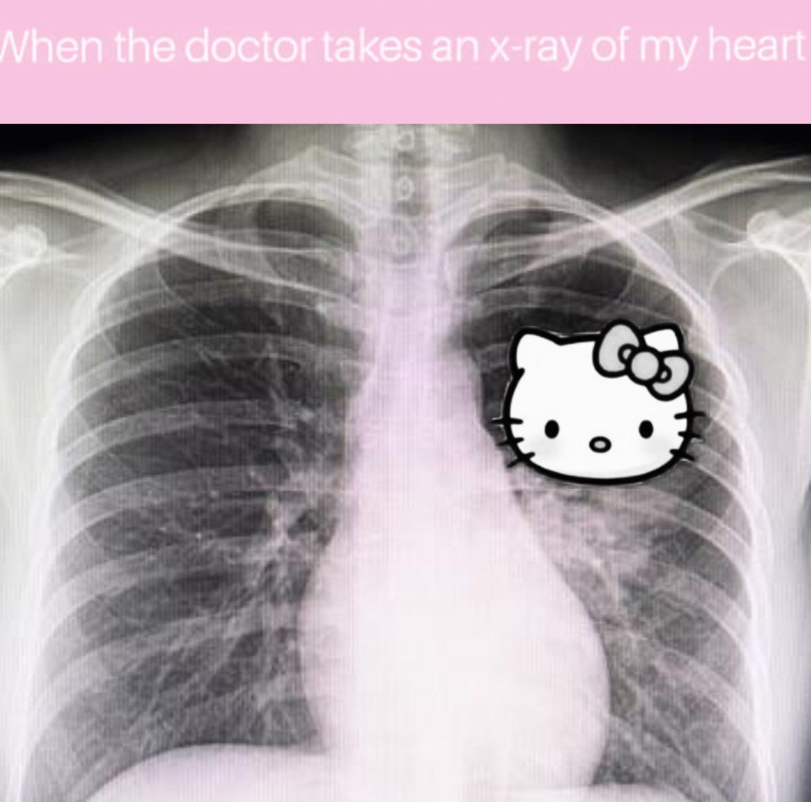 ewwo kitty <3