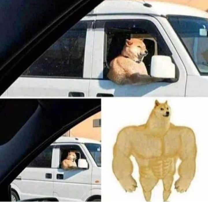 Spotted