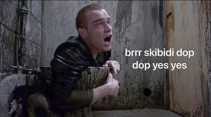 skib