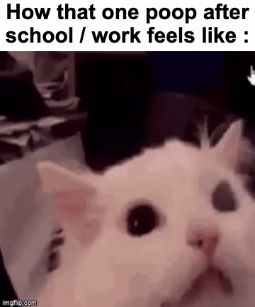 AAAAAAAA