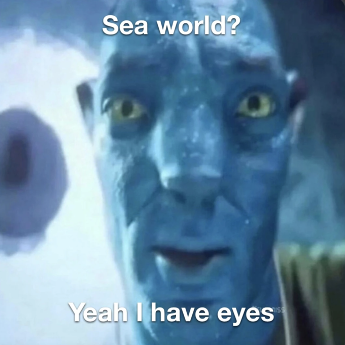 sea