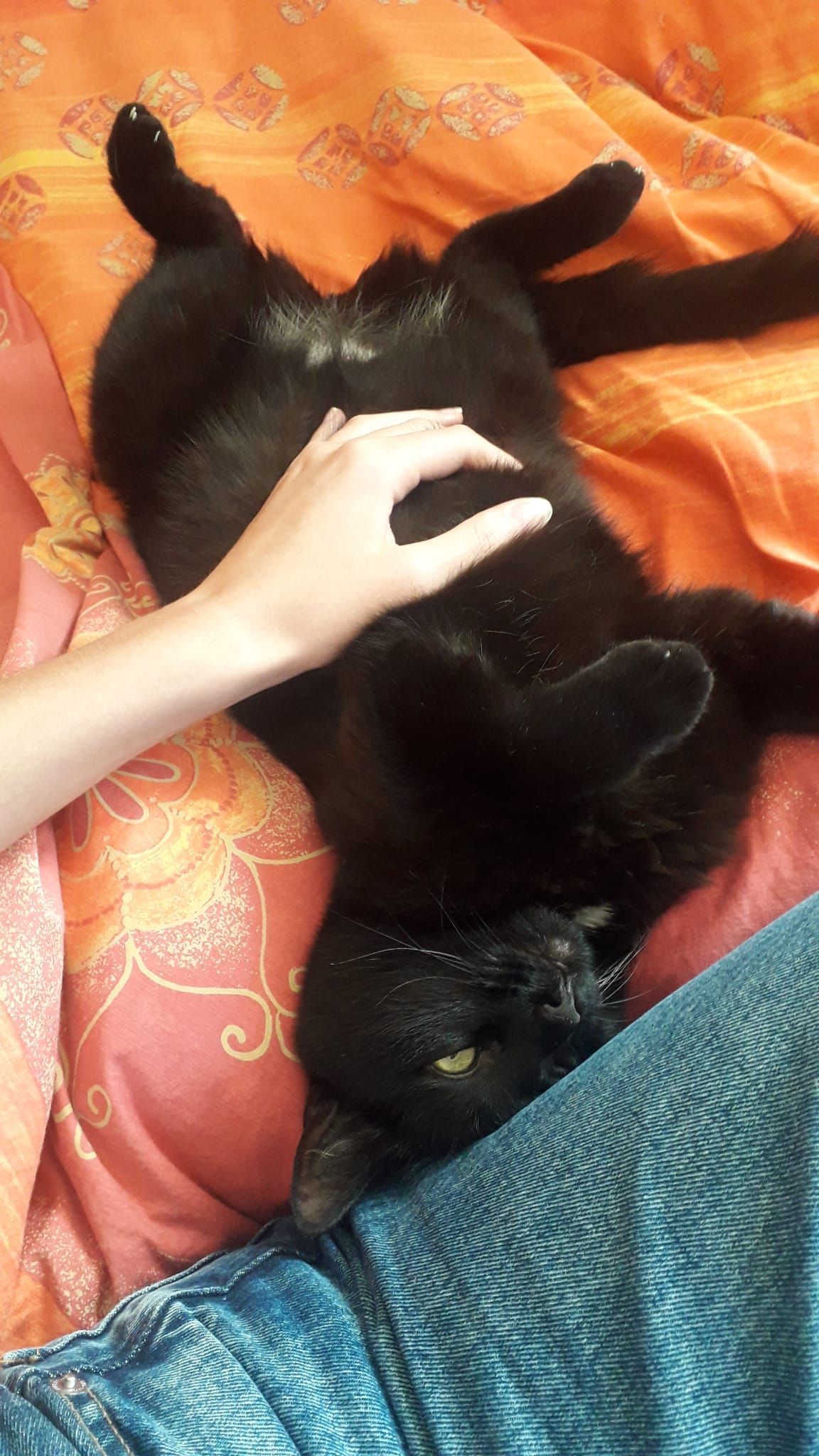 Random pussy on my phone