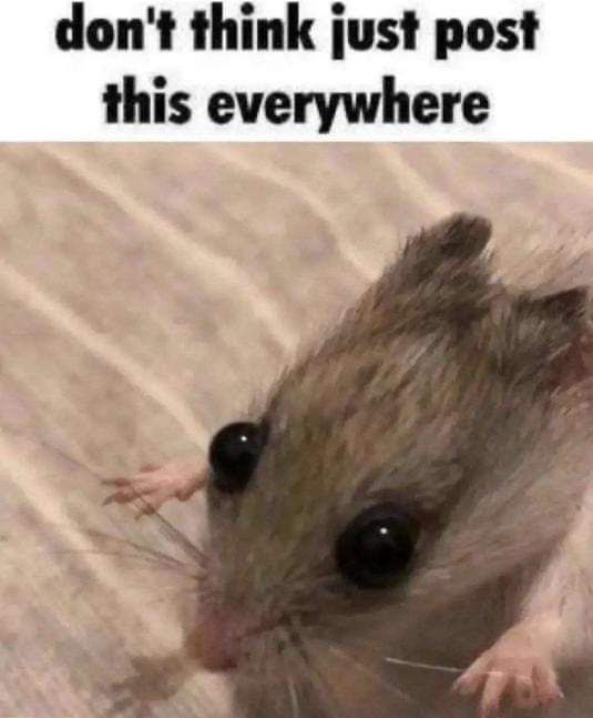 This meme is in the top percentage of all memes
