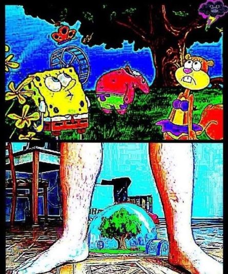 spnog