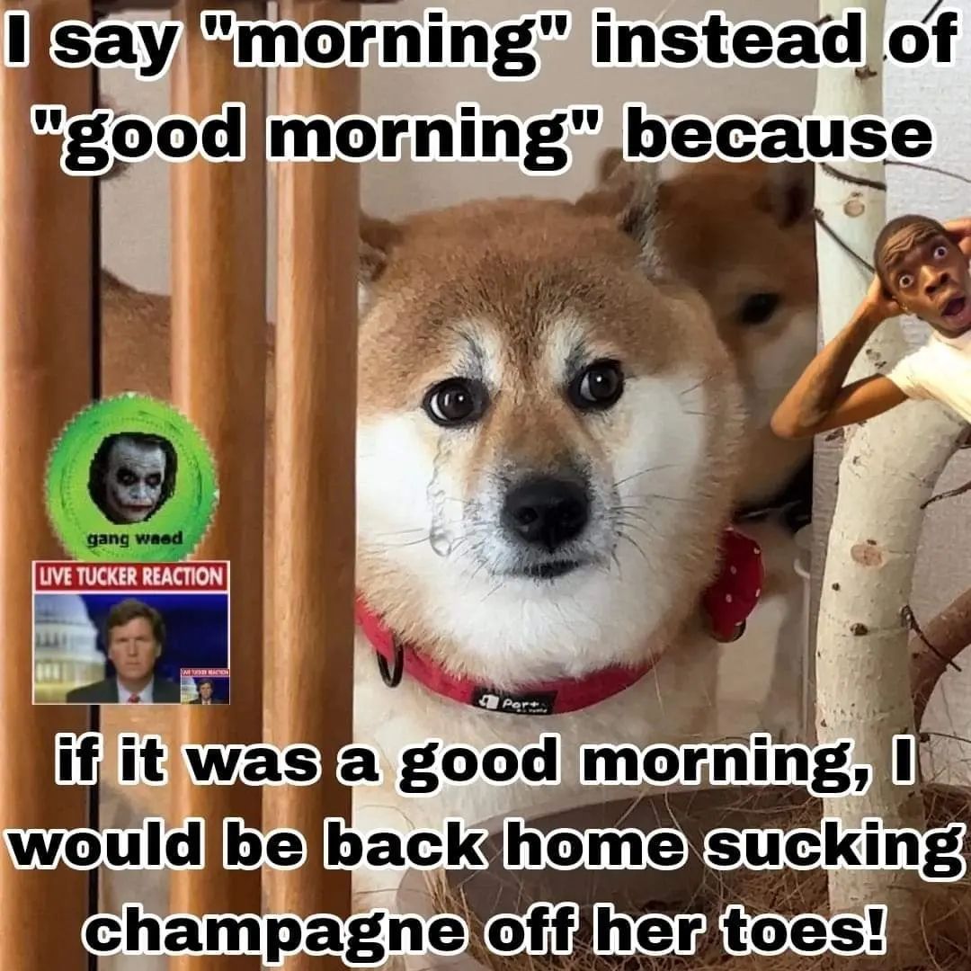 morning