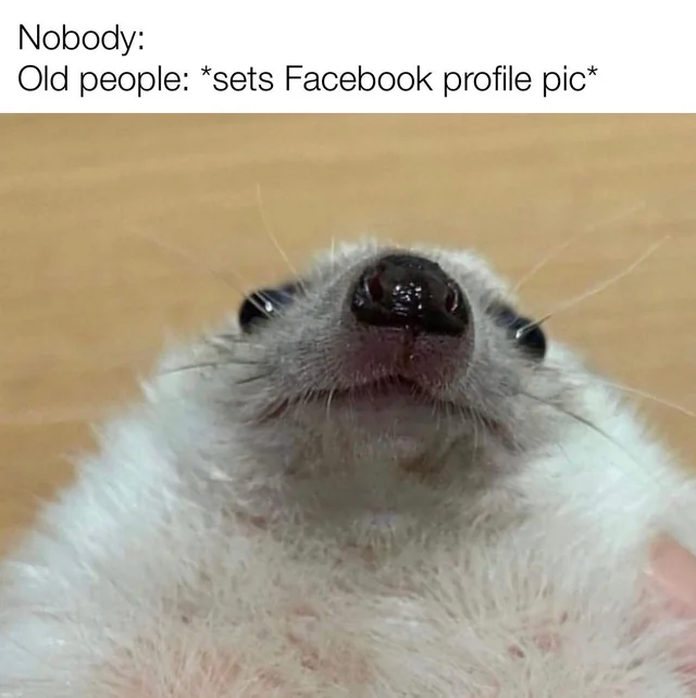 ***
