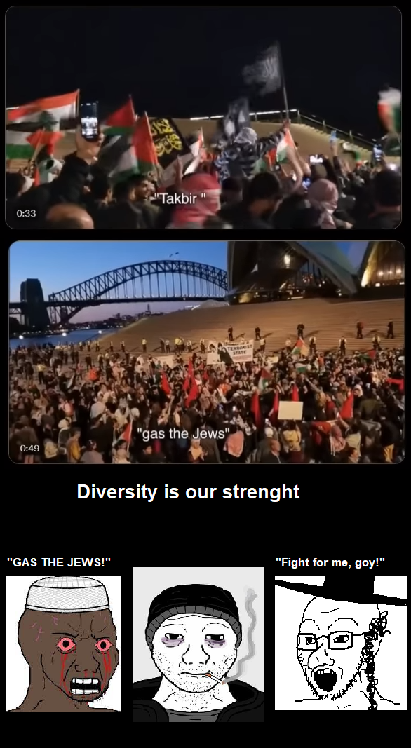The police can't even arrest mofos waving the IS flag.