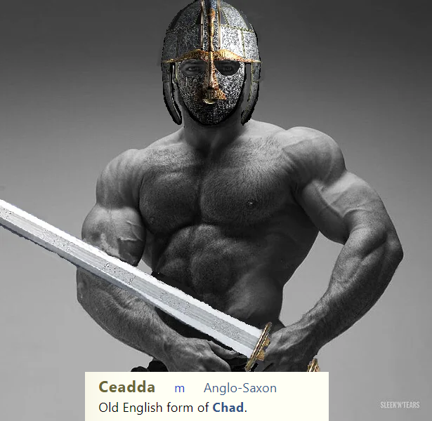 Seaxisċe stodum