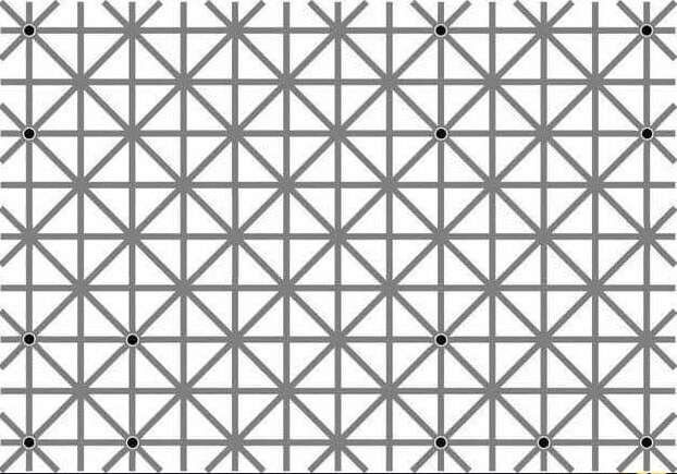 Can you count the black dots?