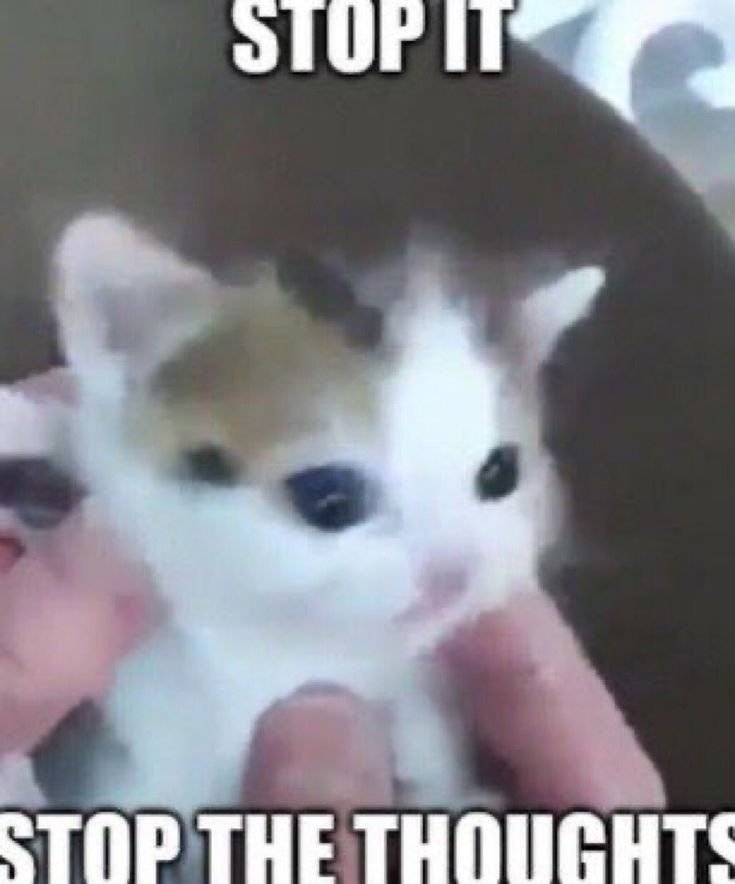 stahp