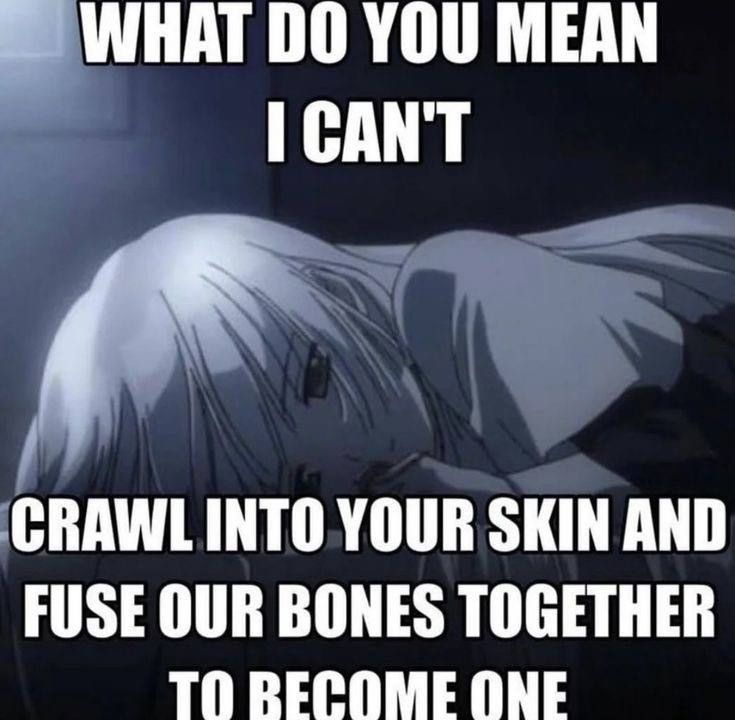 fuse