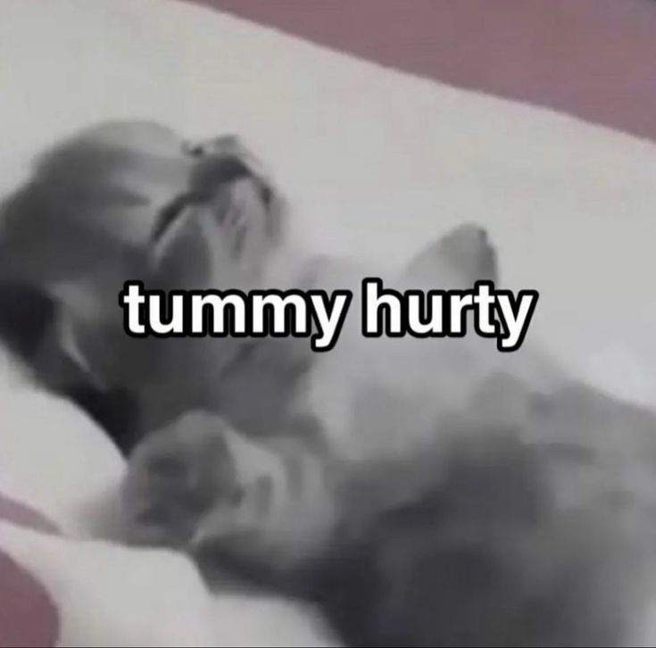 _:(´ཀ`」 ∠):_