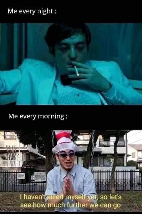 ‎‎‎‎