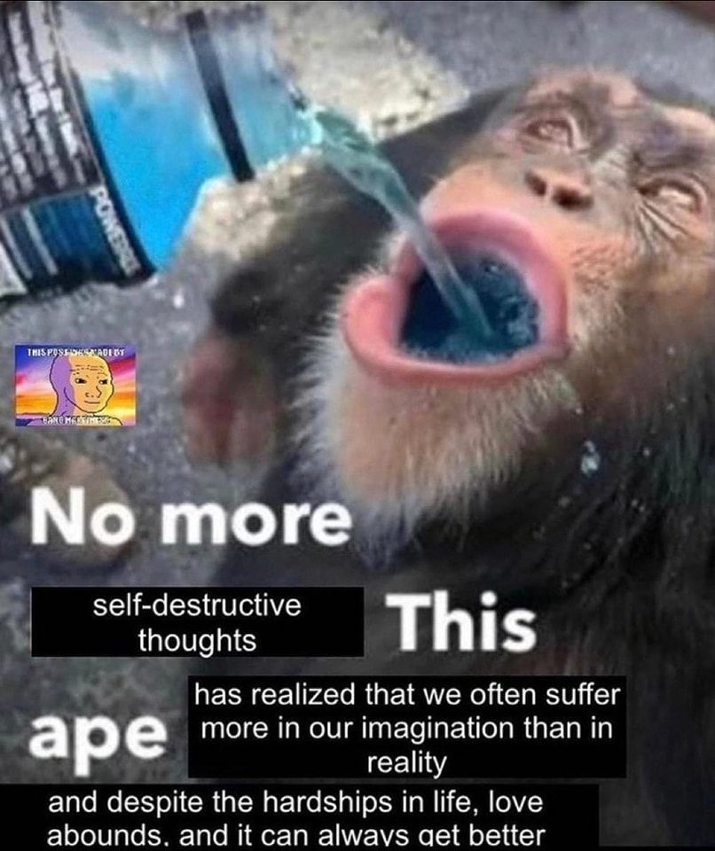 brehstafarian monkey