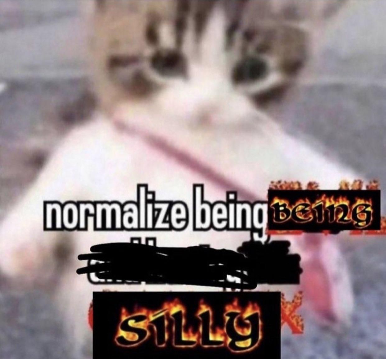 ฅ(•ㅅ•❀)ฅ