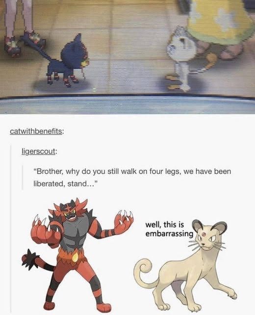 yes