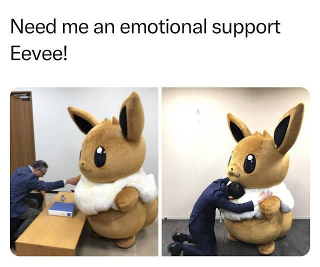 this but i also need an emotional support water stone