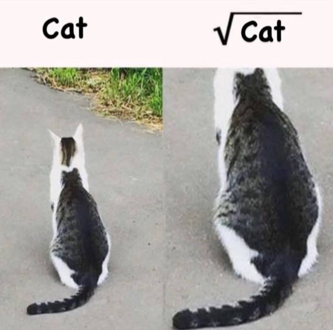 Yes