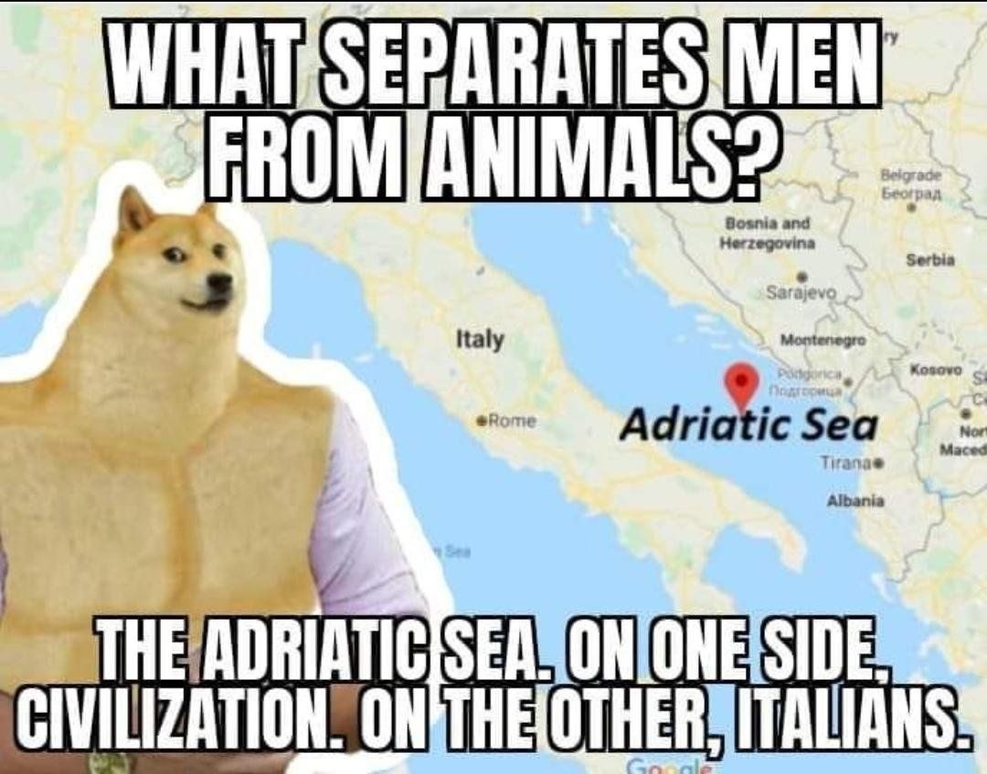‎‎‎‎
