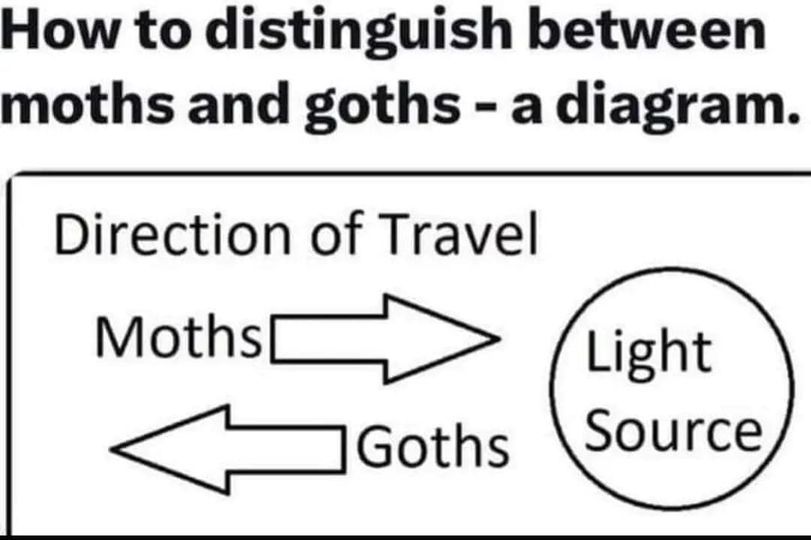 moth/goth dichotomy
