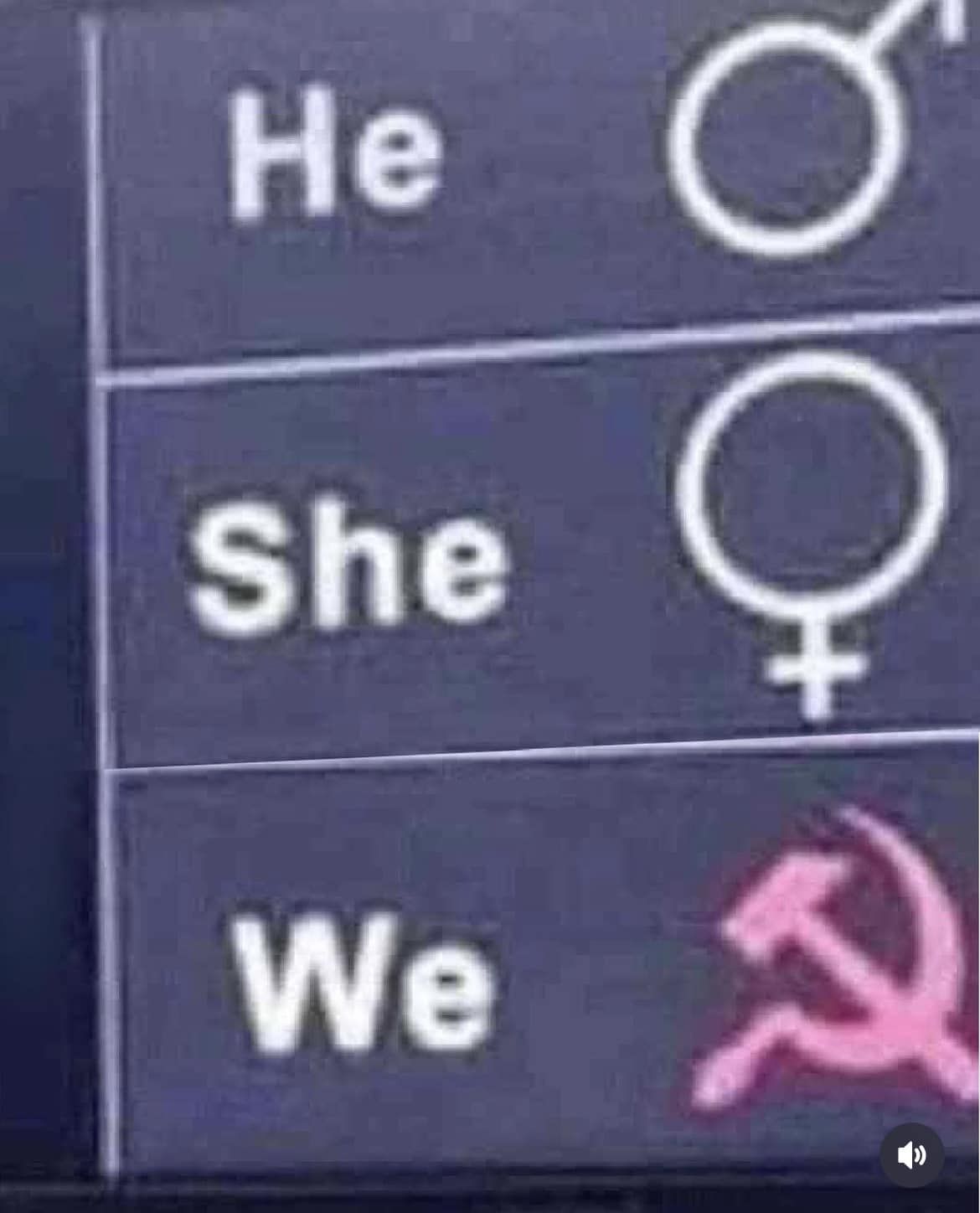 Camradesexual