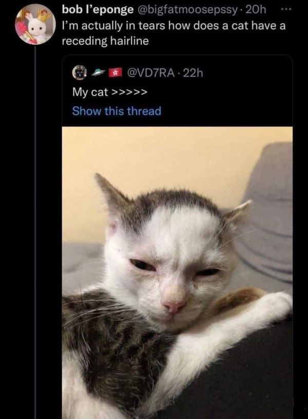 ***