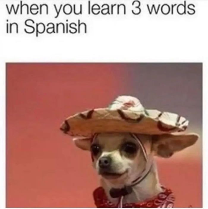 No ingles senior.